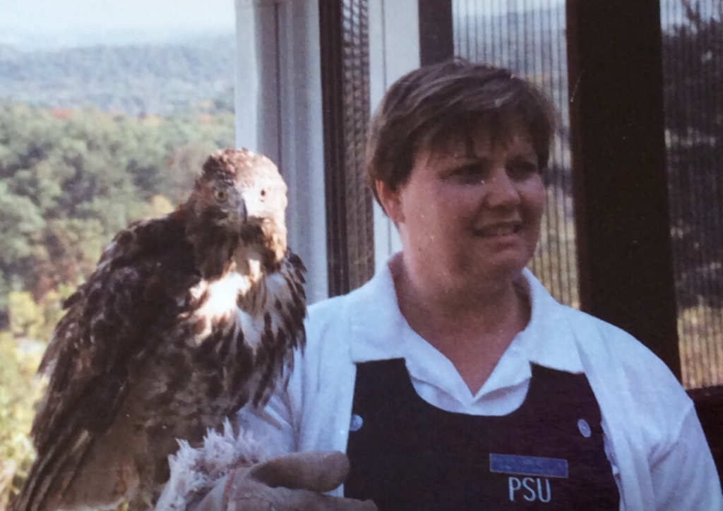 Woman holding hawk